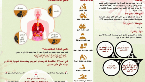 اللجنة الفنية بأمانة العاصمة تقر تشكيل لجان مجتمعية للتوعية حول كورونا