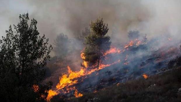 استمرار الحرائق في جبال القدس المحتلة